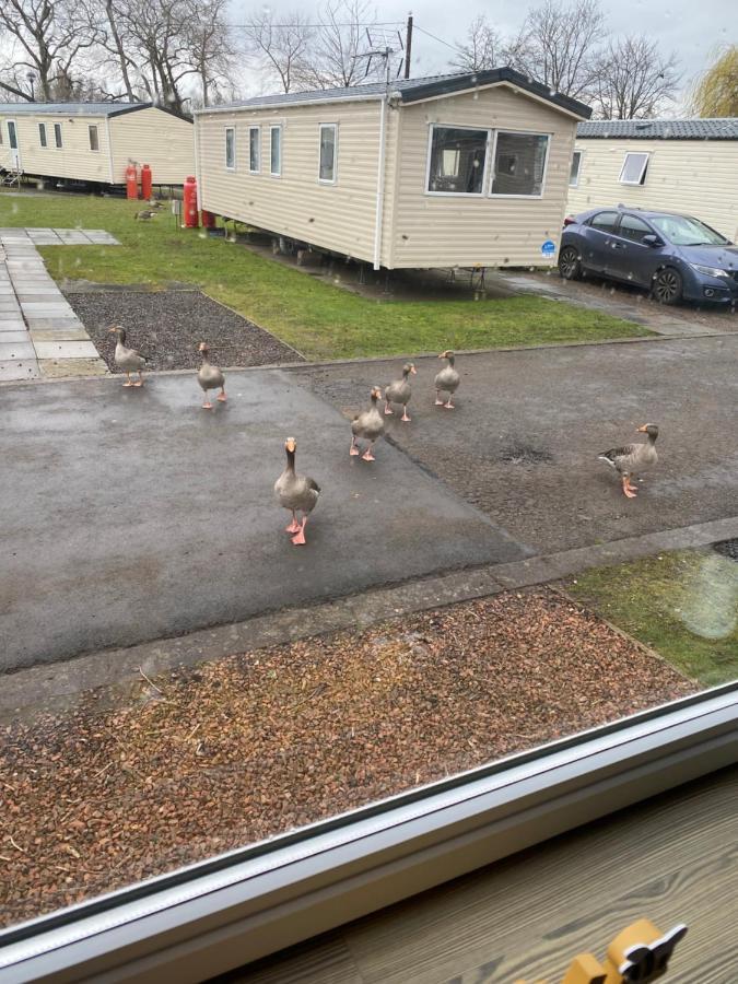 Haggerston Castle 6 Berth Caravan - Lakeside North 23 Cheswick  Ngoại thất bức ảnh